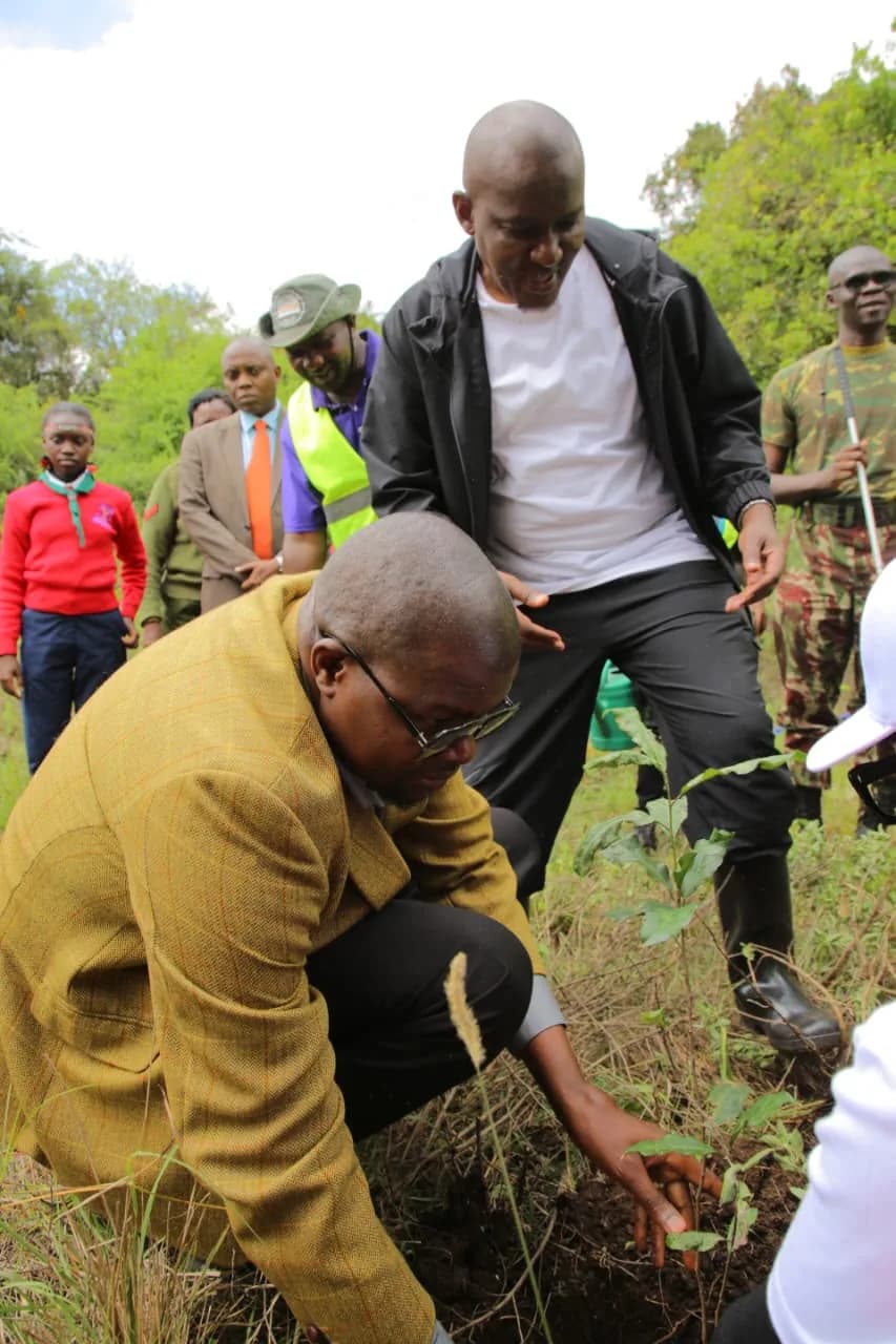 Forest Conservation - Green Connect Foundation