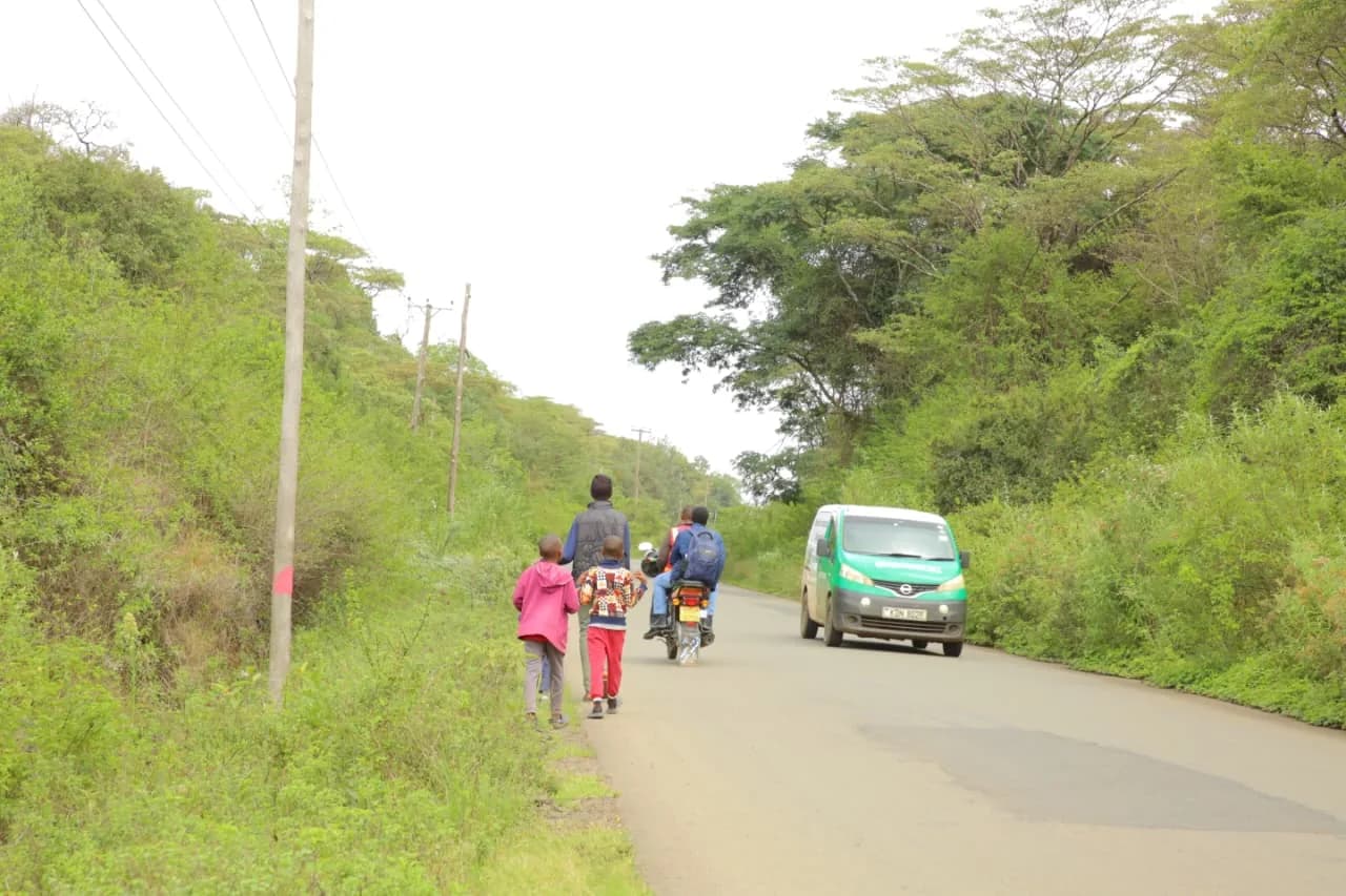 Forest Conservation - Green Connect Foundation