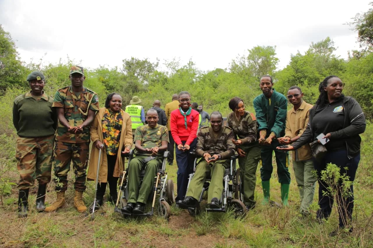 Forest Conservation - Green Connect Foundation